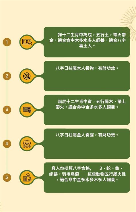 明 五行屬性|五行看明字：命理專家解讀